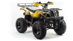 Квадроцикл MOTOLAND 150 Maverick, фото 5 Квадроцикл MOTOLAND 150 Maverick, фото 5