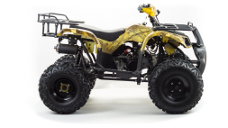 Квадроцикл MOTOLAND 150 Maverick, фото 4 Квадроцикл MOTOLAND 150 Maverick, фото 4