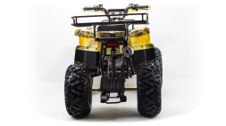 Квадроцикл MOTOLAND 150 Maverick, фото 3 Квадроцикл MOTOLAND 150 Maverick, фото 3