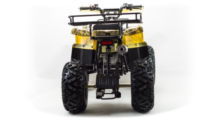 Квадроцикл MOTOLAND 150 Maverick, фото 3