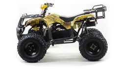 Квадроцикл MOTOLAND 150 Maverick, фото 2 Квадроцикл MOTOLAND 150 Maverick, фото 2