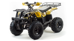 Квадроцикл MOTOLAND 150 Maverick, фото 1 Квадроцикл MOTOLAND 150 Maverick, фото 1