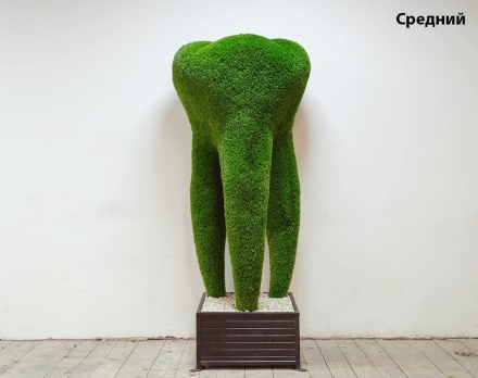 Топиари зуб ЗуБ’Ок, Средний - газон Deluxе, фото 1