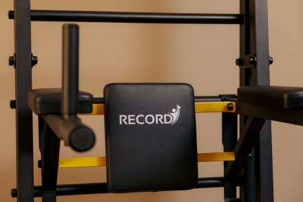 Шведская стенка Рекорд Х3 - турник Рукоход, фото 5