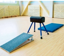 Козел гимнастический переменной высоты ПРОФ Козел гимнастический переменной высоты ПРОФ