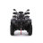 Квадроцикл TGB Blade 550 EPS