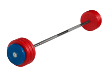 Штанга неразборная "Barbell" с цветными дисками d 25 мм, 40 кг Штанга неразборная "Barbell" с цветными дисками d 25 мм, 40 кг