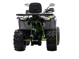 Квадроцикл MOTOLAND 200 Wild Track X Winch, фото 4 Квадроцикл MOTOLAND 200 Wild Track X Winch, фото 4