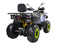 Квадроцикл MOTOLAND 200 Wild Track X Winch, фото 2 Квадроцикл MOTOLAND 200 Wild Track X Winch, фото 2