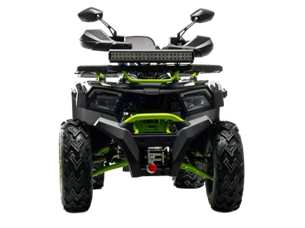 Квадроцикл MOTOLAND 200 Wild Track X Winch, фото 1