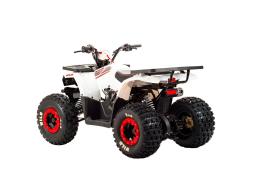 Квадроцикл MOTOLAND 125 Wild, фото 5 Квадроцикл MOTOLAND 125 Wild, фото 5