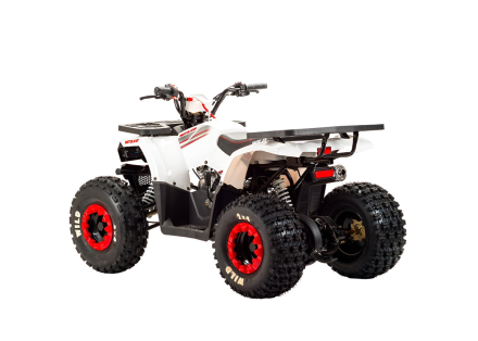 Квадроцикл MOTOLAND 125 Wild, фото 5