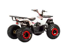 Квадроцикл MOTOLAND 125 Wild, фото 4 Квадроцикл MOTOLAND 125 Wild, фото 4