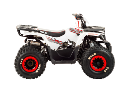 Квадроцикл MOTOLAND 125 Wild, фото 3 Квадроцикл MOTOLAND 125 Wild, фото 3