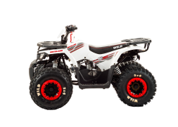 Квадроцикл MOTOLAND 125 Wild, фото 2 Квадроцикл MOTOLAND 125 Wild, фото 2