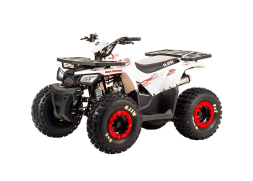 Квадроцикл MOTOLAND 125 Wild, фото 1 Квадроцикл MOTOLAND 125 Wild, фото 1