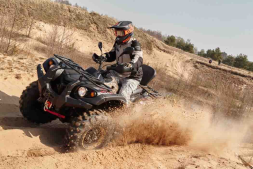 Квадроцикл BALTMOTORS Striker 400 EFI, фото 18