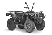 Квадроцикл BALTMOTORS Striker 400 EFI