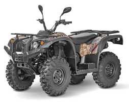 Квадроцикл BALTMOTORS Striker 400 EFI, фото 1