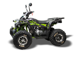 Квадроцикл MOTOLAND 125 Wild X Pro, фото 4 Квадроцикл MOTOLAND 125 Wild X Pro, фото 4