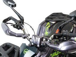 Квадроцикл MOTOLAND 125 Wild X Pro, фото 2 Квадроцикл MOTOLAND 125 Wild X Pro, фото 2