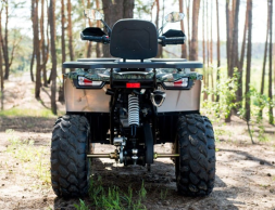 Квадроцикл YAMAHA Shark 300cc, фото 14 Квадроцикл YAMAHA Shark 300cc, фото 14