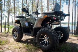 Квадроцикл YAMAHA Shark 300cc, фото 13 Квадроцикл YAMAHA Shark 300cc, фото 13