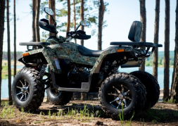 Квадроцикл YAMAHA Shark 300cc, фото 11 Квадроцикл YAMAHA Shark 300cc, фото 11