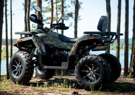 Квадроцикл YAMAHA Shark 300cc, фото 11