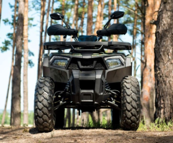 Квадроцикл YAMAHA Shark 300cc, фото 7 Квадроцикл YAMAHA Shark 300cc, фото 7