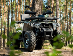 Квадроцикл YAMAHA Shark 300cc, фото 6 Квадроцикл YAMAHA Shark 300cc, фото 6