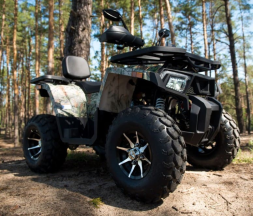 Квадроцикл YAMAHA Shark 300cc, фото 5 Квадроцикл YAMAHA Shark 300cc, фото 5