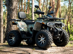 Квадроцикл YAMAHA Shark 300cc, фото 3 Квадроцикл YAMAHA Shark 300cc, фото 3