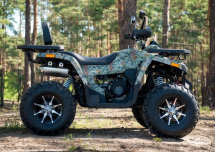 Квадроцикл YAMAHA Shark 300cc