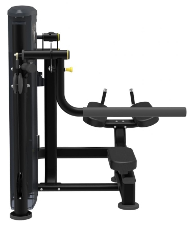 Тренажер Ягодичные Impulse IT9526, фото 2