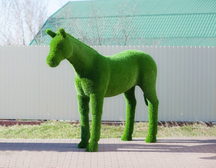 Топиари &quot;Конь&quot;, фото 1