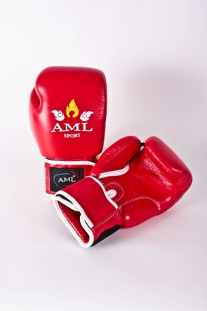 Перчатки боксерские AML Bangkok, фото 1