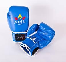 Перчатки боксерские AML Bangkok, фото 2