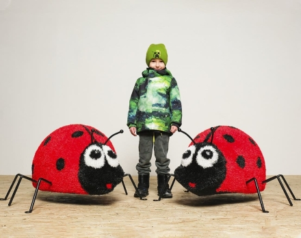 Топиари композиция Божьи коровки - газон Eco, фото 2