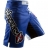 Шорты Hayabusa hayshorts036