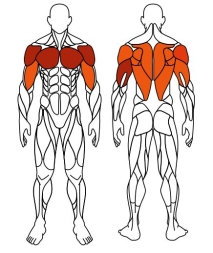 Тяга верхняя + жим от груди (серый) - Уличный тренажер двойной - СТ 027-13.И1, фото 6
