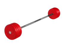 Штанга неразборная "Barbell" с цветными дисками d 25 мм, 45 кг Штанга неразборная "Barbell" с цветными дисками d 25 мм, 45 кг