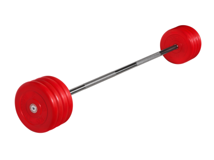 Штанга неразборная &quot;Barbell&quot; с цветными дисками d 25 мм, 45 кг, фото 1