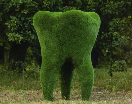 Топиари зуб - газон Premium, фото 2