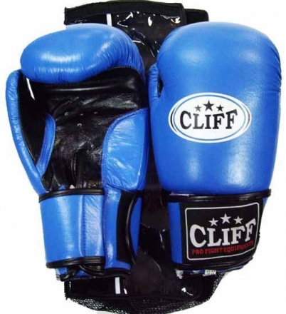 Перчатки бокс F.TECH (кожа)  8 oz синие, фото 1