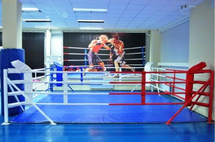 Ринги напольные на упорах или растяжках, фото 1