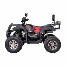 Квадроцикл YACOTA SELA 200 PRO, фото 4