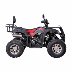 Квадроцикл YACOTA SELA 200 PRO, фото 3