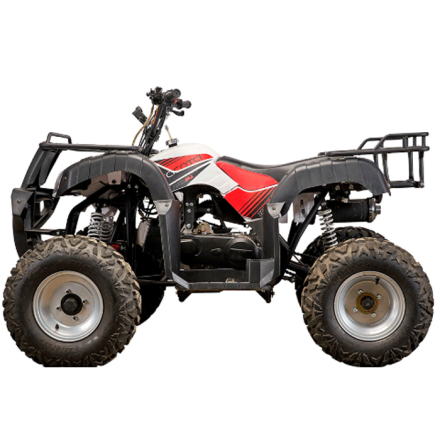 Подростковый квадроцикл YACOTA SELA 200, фото 3