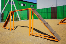 Бум ДС-1.06 для дрессировки собак